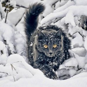 Meet your Posher, Lexy